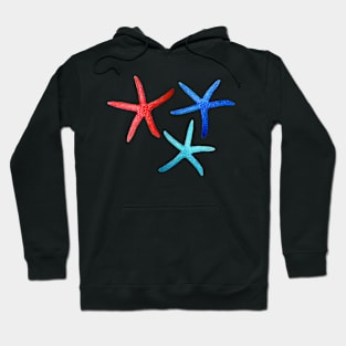 Starfish in Red, Aqua and Cobalt Hoodie